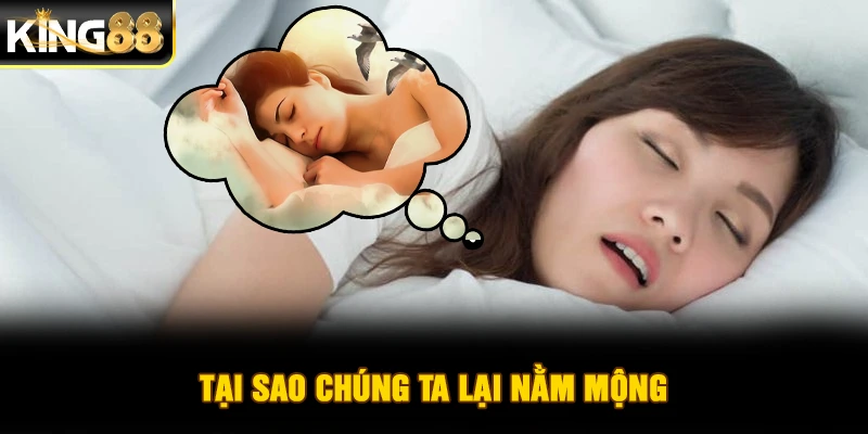 Tại sao chúng ta lại nằm mộng