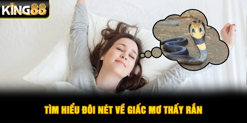 Tìm hiểu đôi nét về giấc mơ thấy rắn